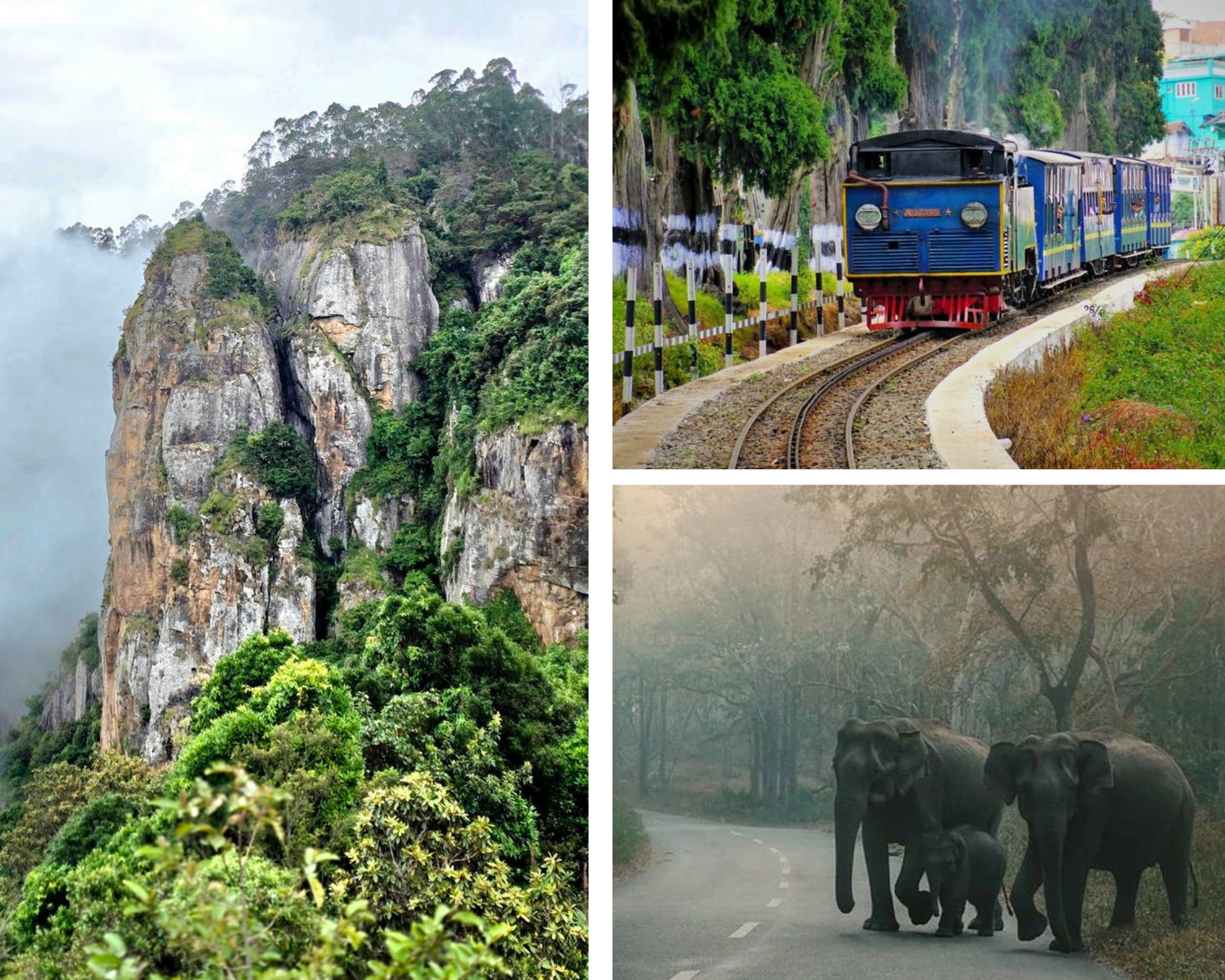 Ooty-Kodaikanal Tour Package